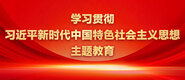 美国农村女人操逼学习贯彻习近平新时代中国特色社会主义思想主题教育_fororder_ad-371X160(2)